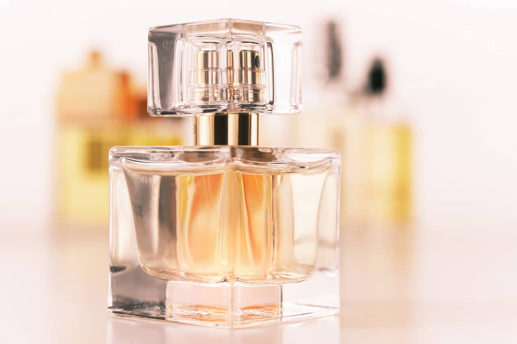 Choosing The Best Perfume From The Fierce Competition