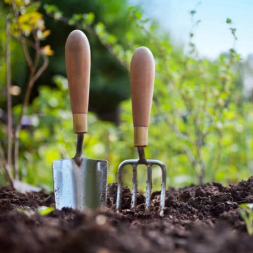 5 Quick Gardening Tips To Save You Money